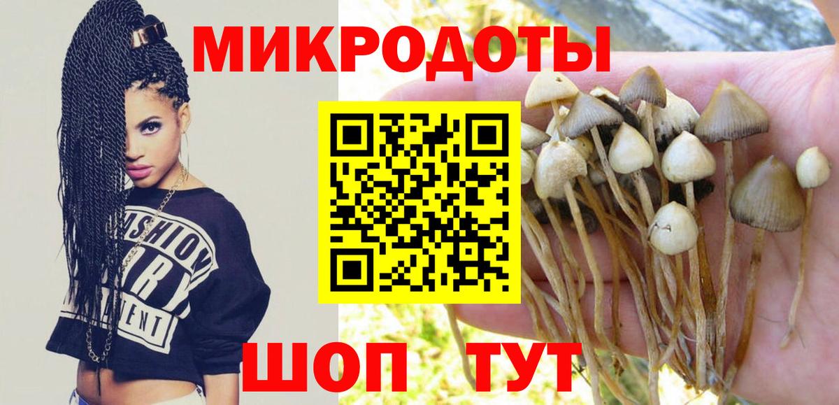 Псилоцибиновые грибы Magic Shrooms  Галлюциногенные грибы Psilocybe  Всеволожск  Вход с VPN 
