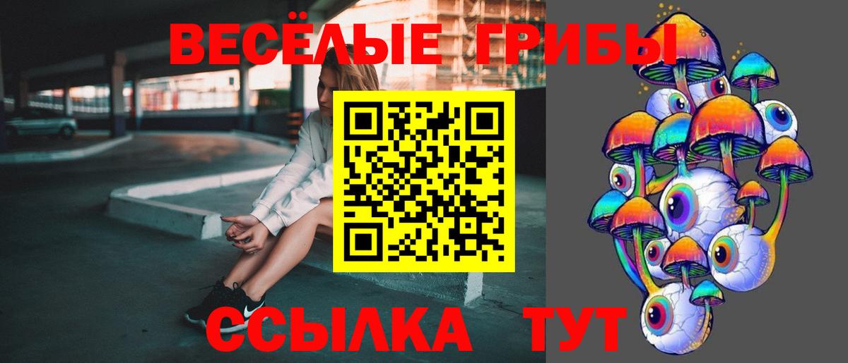 Псилоцибиновые грибы Psilocybine cubensis Всеволожск